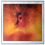 Lot 1 Image